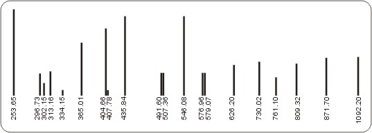 D1001波長校正標準燈(汞燈)(圖1) D1001波長校正標準燈(汞燈)(圖1)