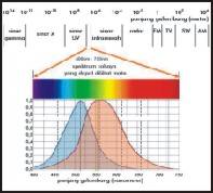 微型光纖光譜儀基礎(chǔ)知識(shí)(圖3) 微型光纖光譜儀基礎(chǔ)知識(shí)(圖3)